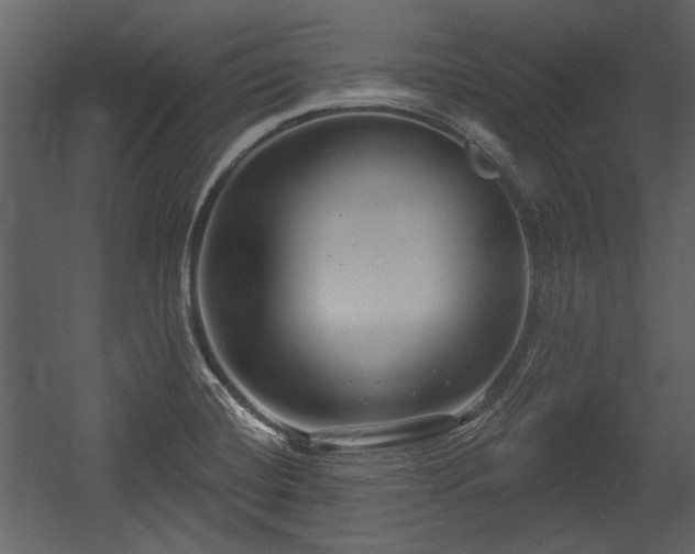 X0000054421420200508011346