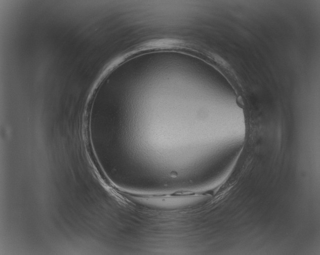 X0000054421421200508011346