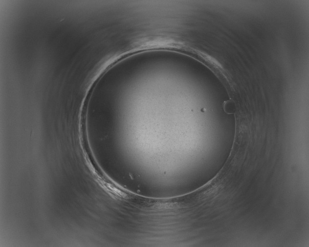 X0000054421423200508011346