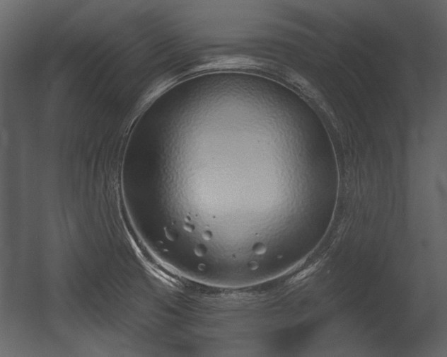 X0000054421425200508011346