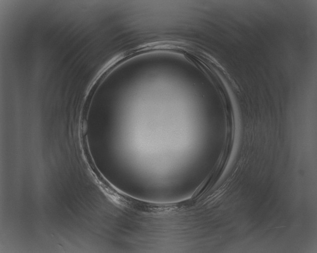 X0000054421426200508011346