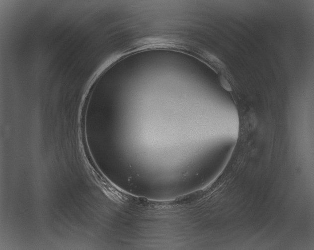 X0000054421427200508011346