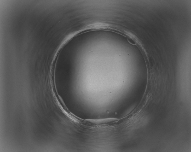 X0000054421429200508011346