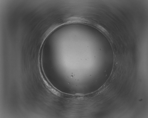 X0000054421431200508011346