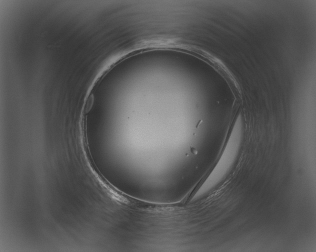 X0000054421432200508011346