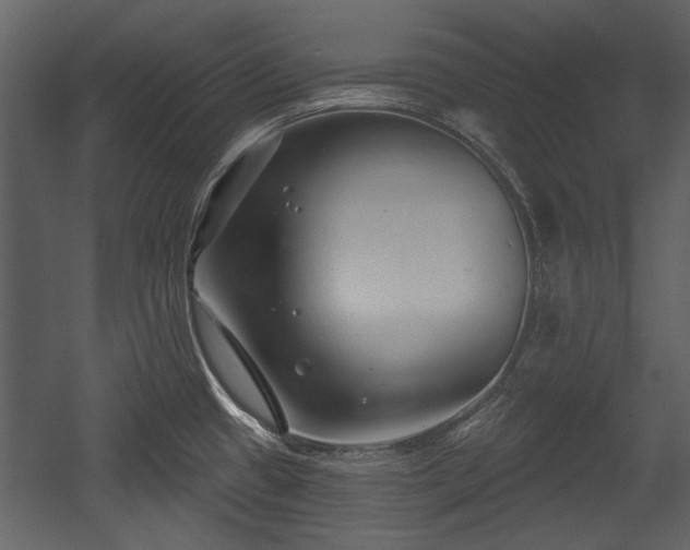 X0000054421433200508011346