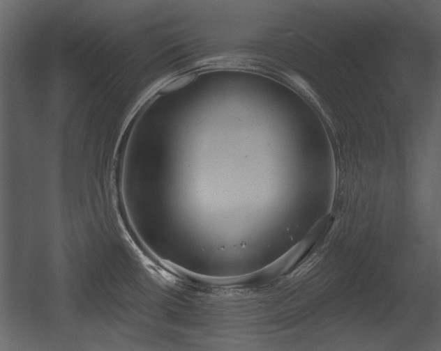 X0000054421434200508011346