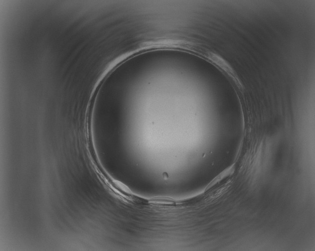 X0000054421436200508011346