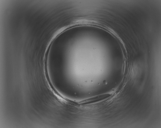 X0000054421437200508011346