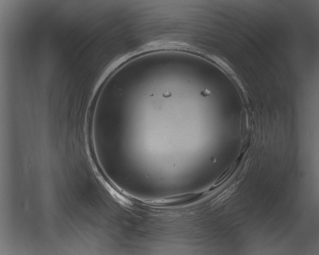 X0000054421438200508011346