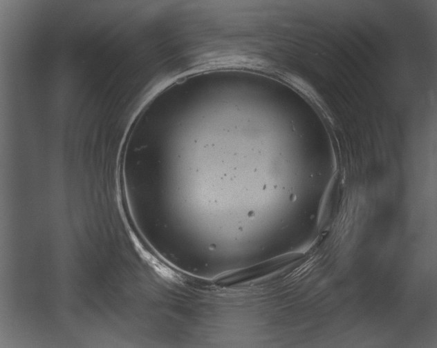 X0000054421439200508011346