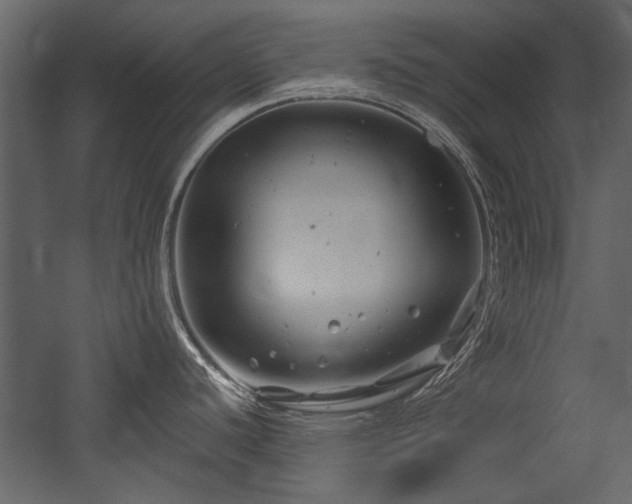 X0000054421440200508011346