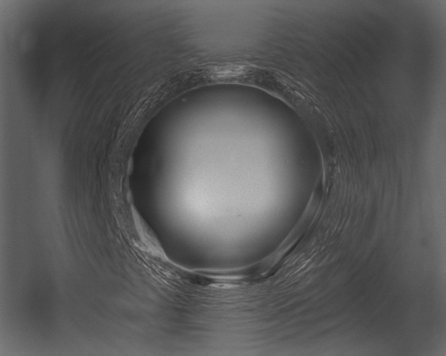 X0000054421441200508011345