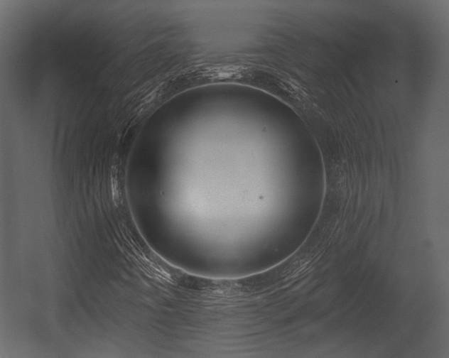 X0000054421442200508011345