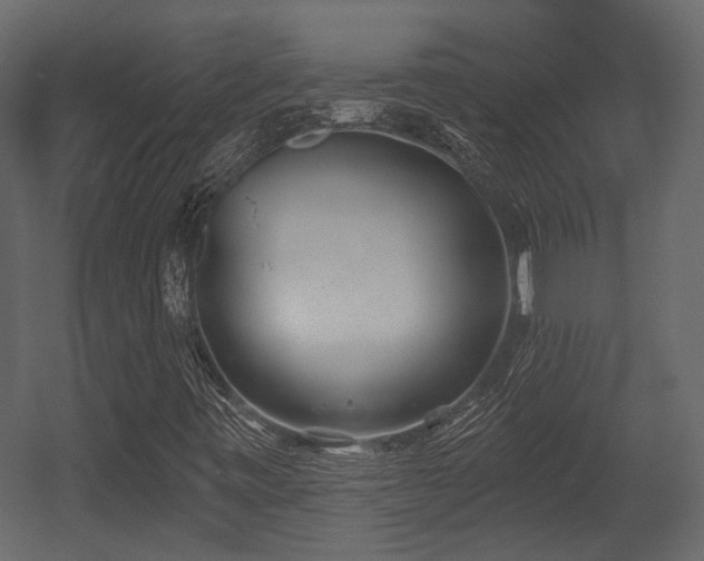 X0000054421443200508011345