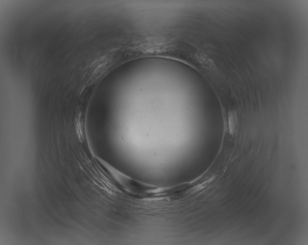 X0000054421444200508011345