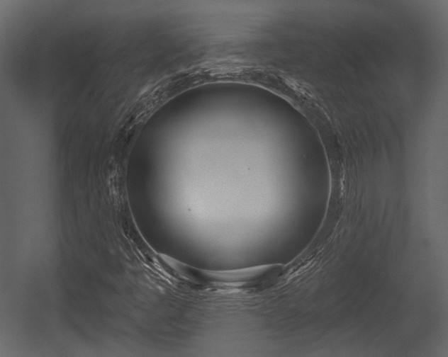 X0000054421445200508011345