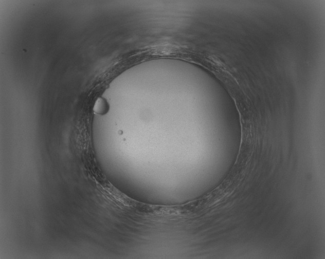 X0000054421446200508011345