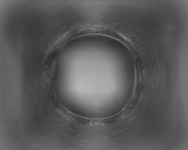 X0000054421447200508011345