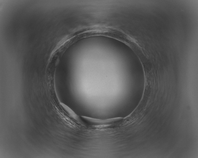 X0000054421448200508011345