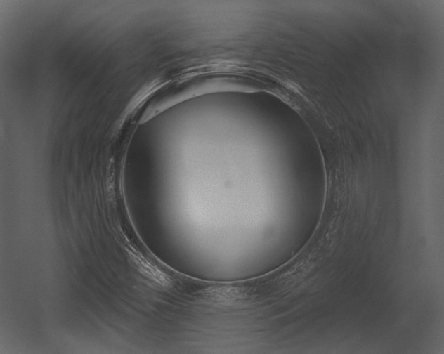 X0000054421450200508011345