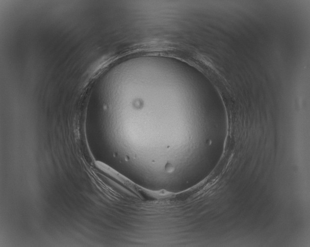 X0000054421451200508011345