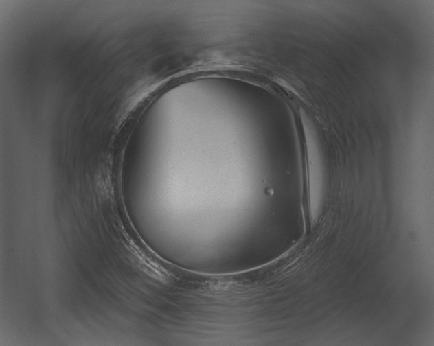 X0000054421452200508011345