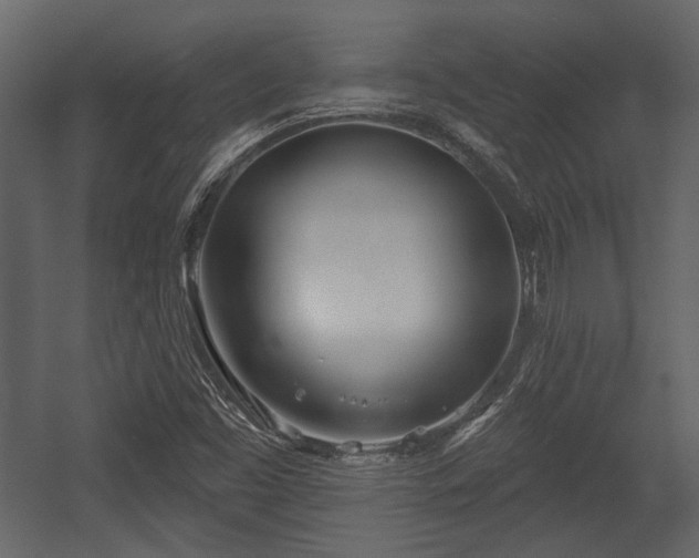 X0000054421453200508011345