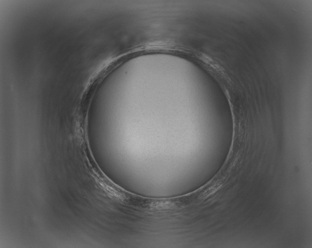 X0000054421454200508011345