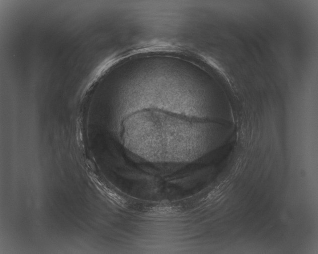 X0000054421455200508011345