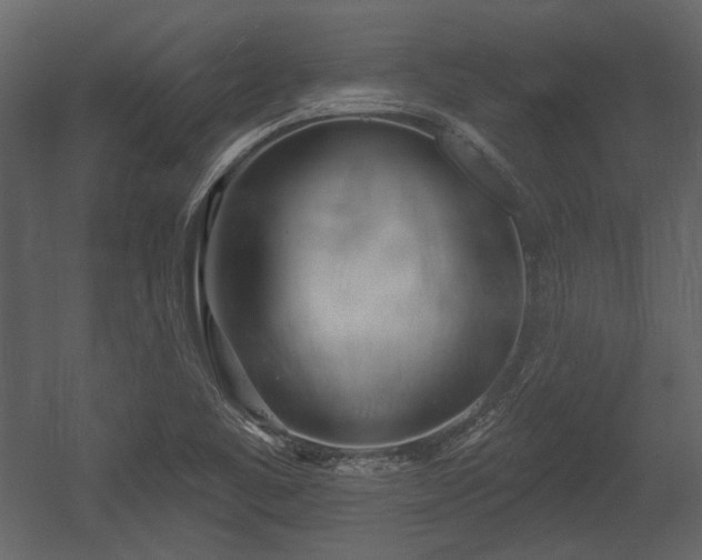 X0000054421461200508011345