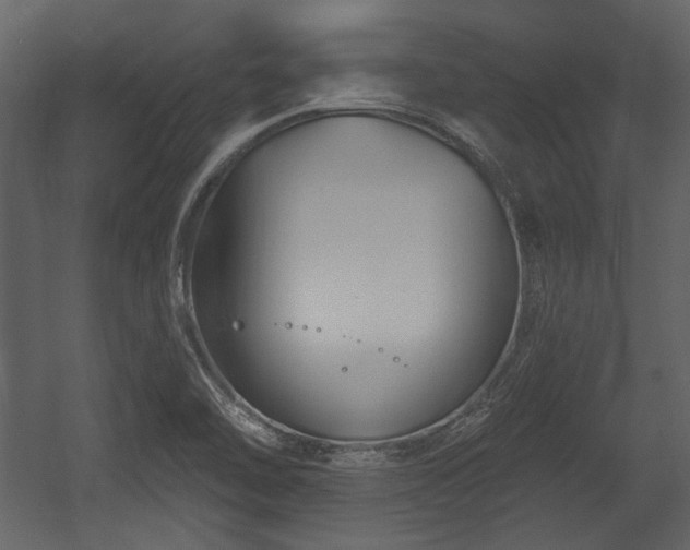 X0000054421462200508011345