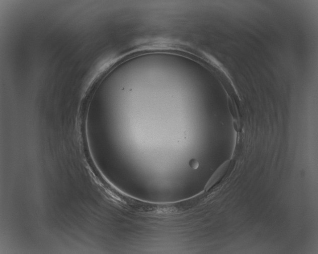 X0000054421464200508011345