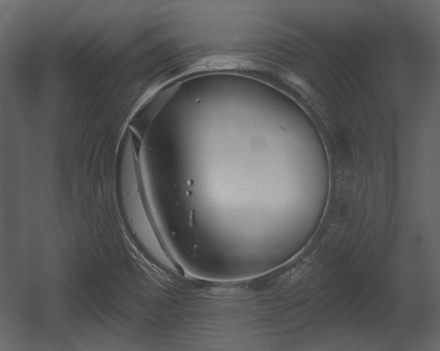 X0000054421465200508011345