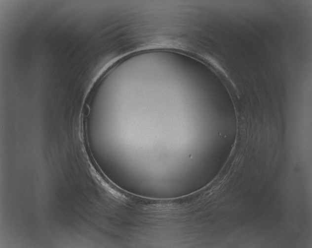 X0000054421468200508011345