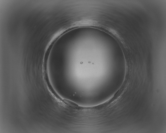 X0000054421469200508011345