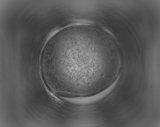 X0000054421471200508011345
