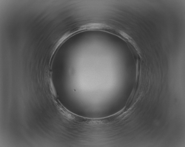 X0000054421473200508011344