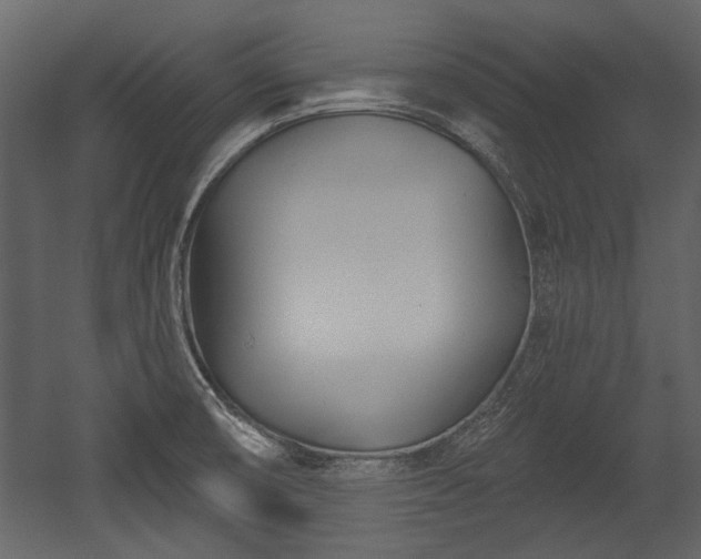 X0000054421474200508011344