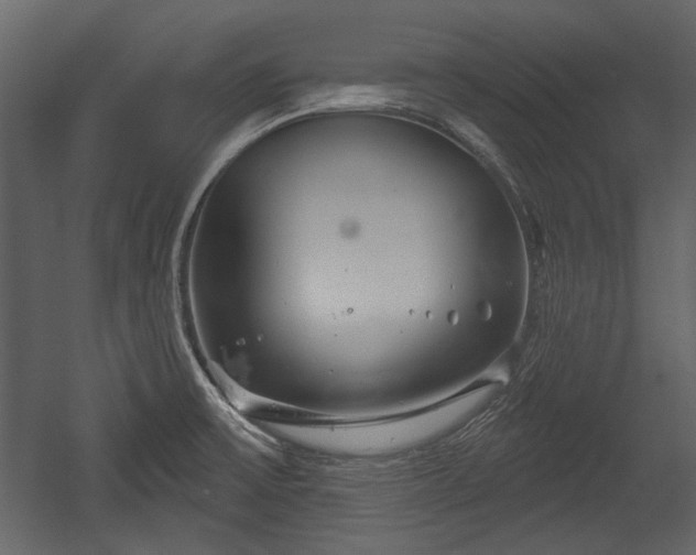 X0000054421475200508011344