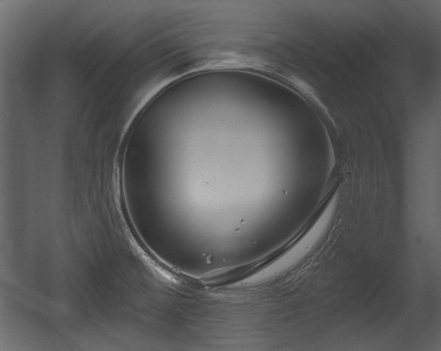 X0000054421476200508011344