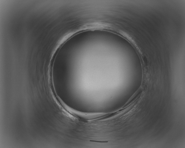 X0000054421477200508011344