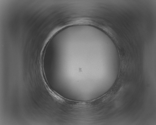 X0000054421478200508011344