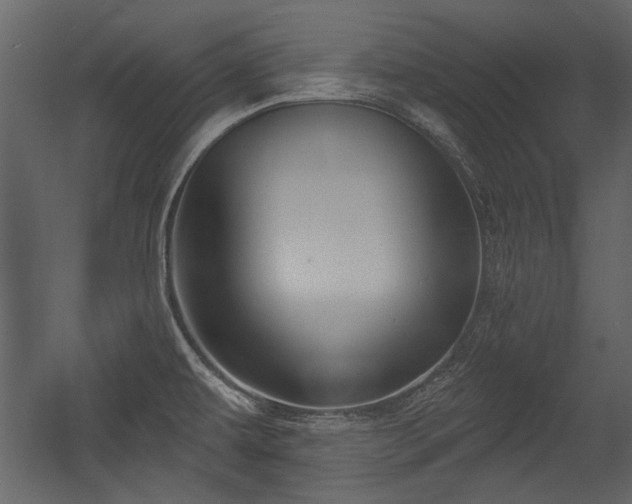 X0000054421479200508011344