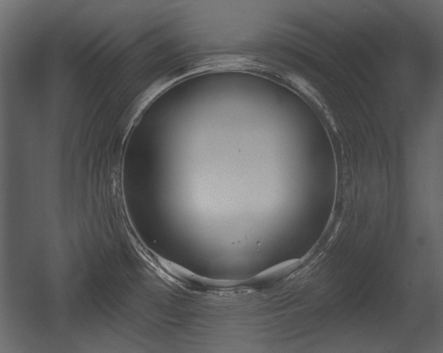 X0000054421481200508011344