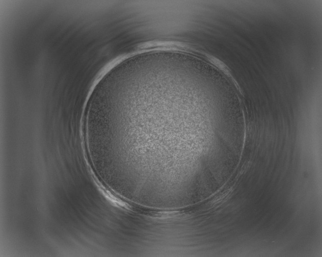 X0000054421482200508011344