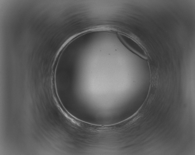 X0000054421484200508011344