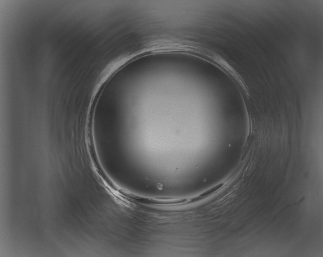 X0000054421485200508011344