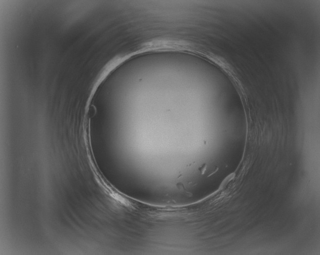 X0000054421486200508011344