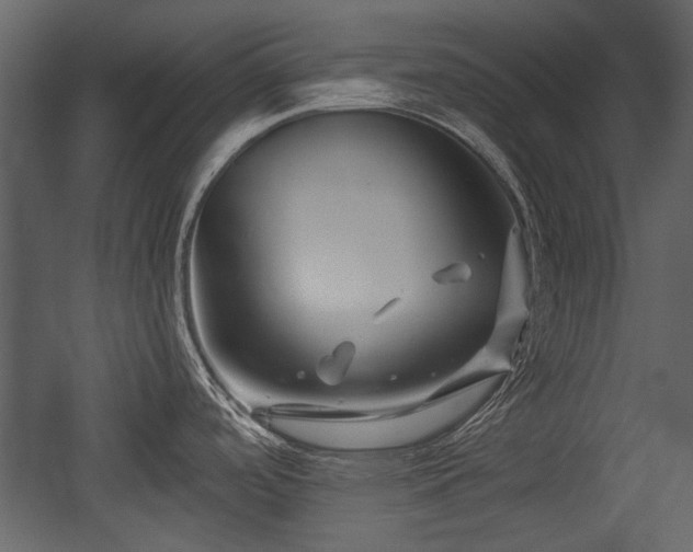 X0000054421488200508011344